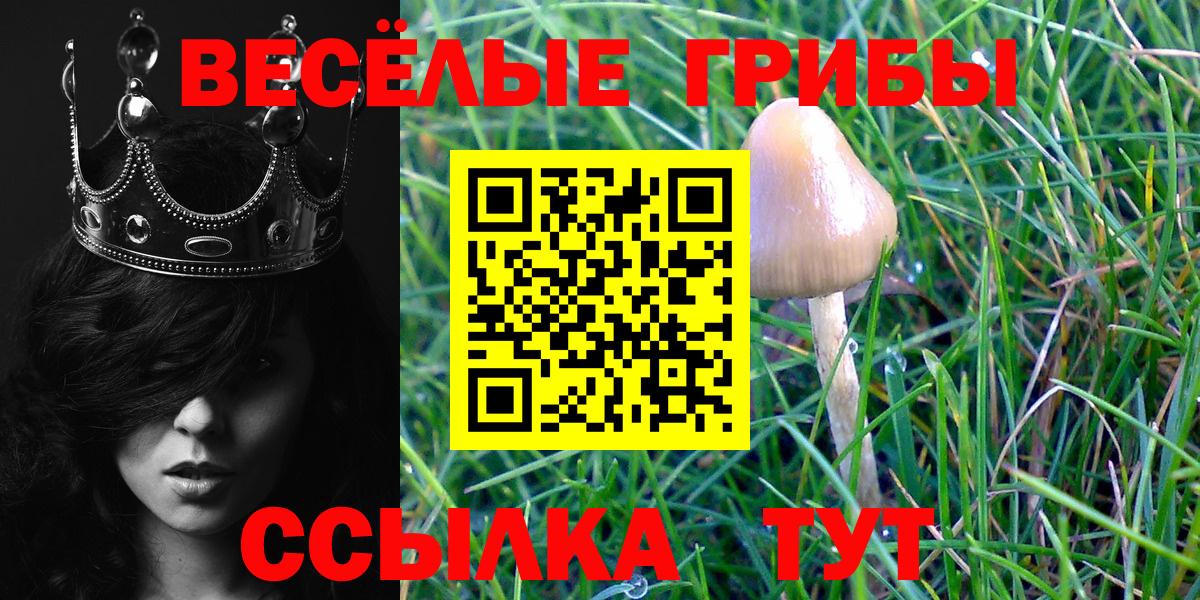 Кинешма  сколько стоит  Псилоцибиновые грибы мухоморы  Вход с VPN  Галлюциногенные грибы MAGIC MUSHROOMS 