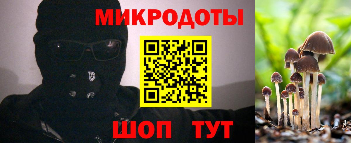 Галлюциногенные грибы мухоморы Кинешма